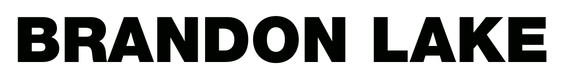 Brandon Lake logo