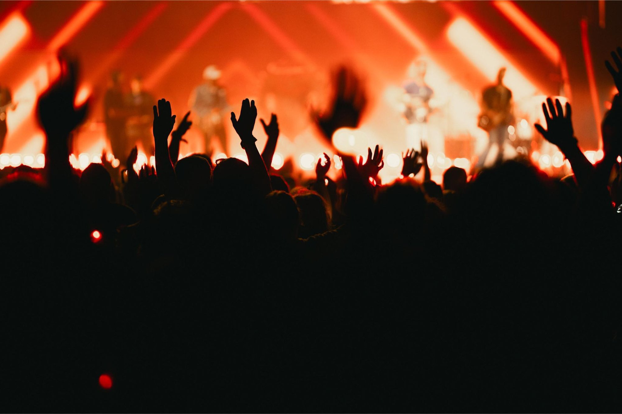 Photo Mar 21 2026, 9 12 29 AM (8)